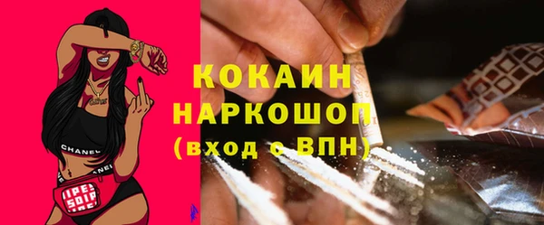 крисы Абаза