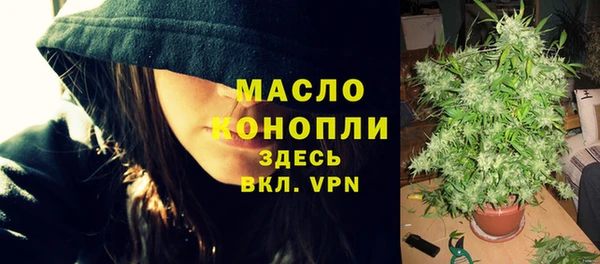 крисы Абаза