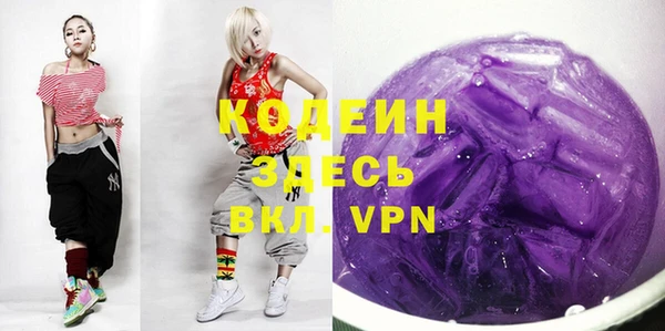 крисы Абаза
