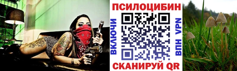 Галлюциногенные грибы GOLDEN TEACHER Урюпинск