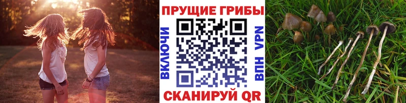 Галлюциногенные грибы мицелий  цены наркотик  Урюпинск 